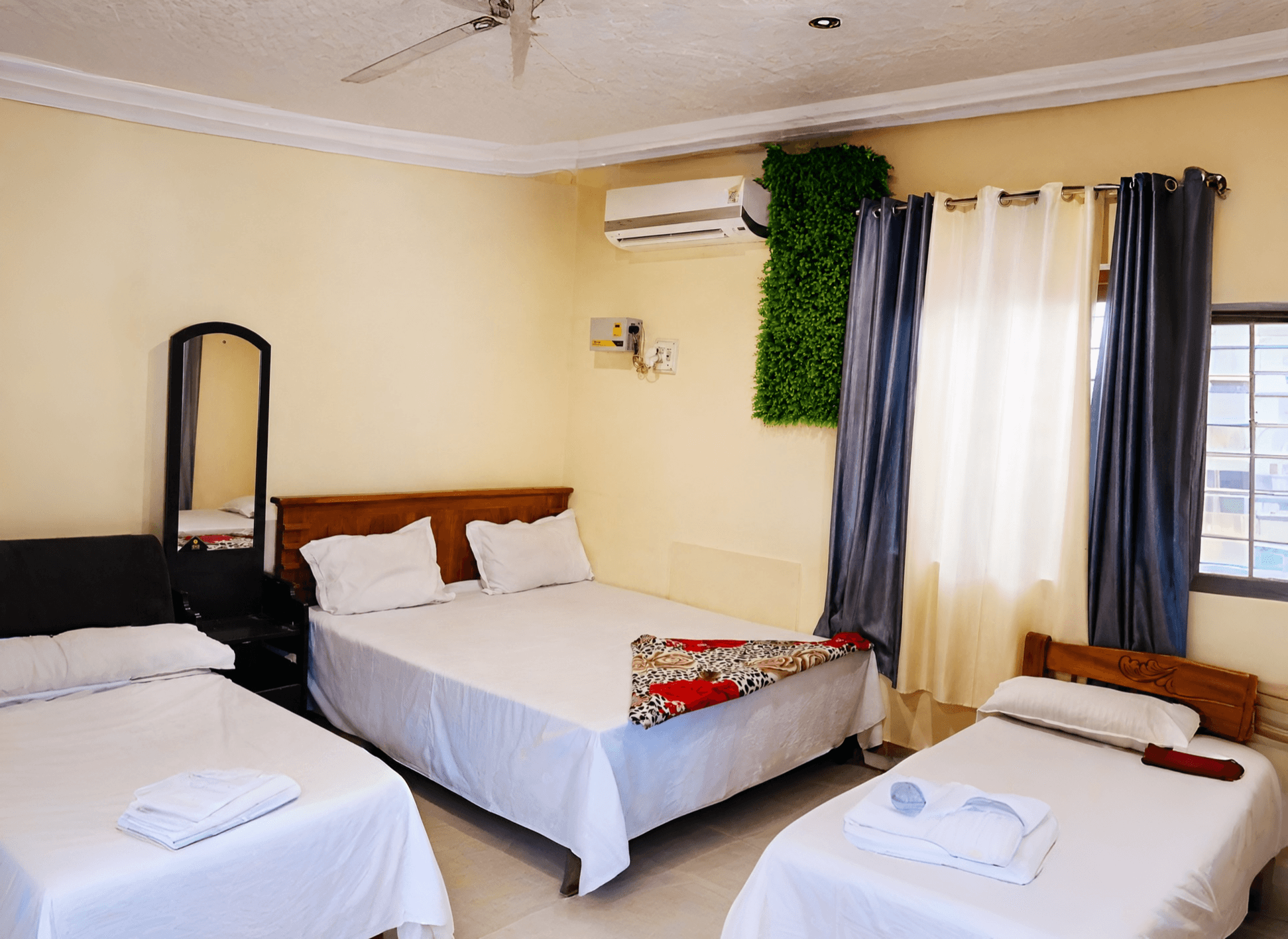 Twin + Diwan Room — View 2